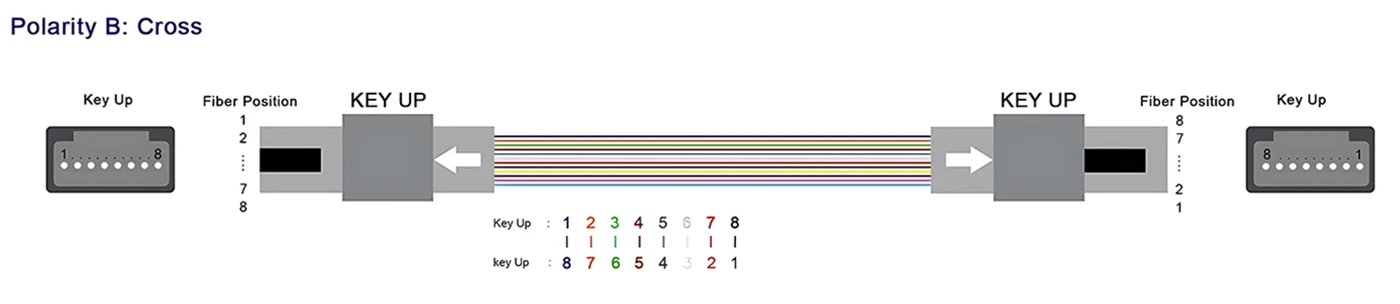 mpo jumpers,mpo jumper,mpo fiber jumper,mpo 12 patch cord,mpo cable,mpo fiber patch cords,mpo patch cable one piece,mpo patch cablevision