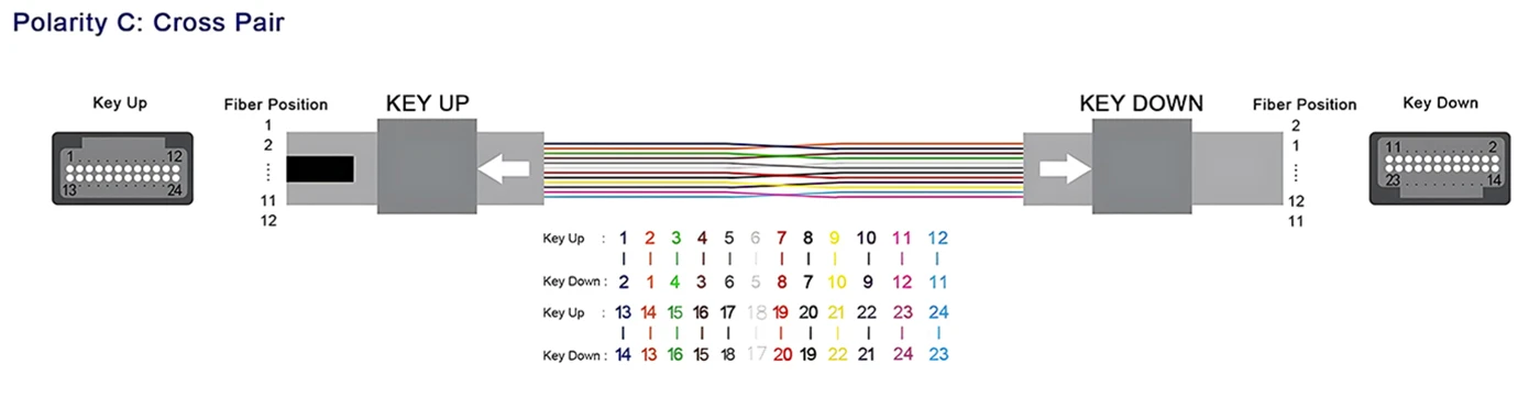 mpo jumpers,mpo jumper,mpo fiber jumper,mpo 12 patch cord,mpo cable,mpo fiber patch cords,mpo patch cable one piece,mpo patch cablevision