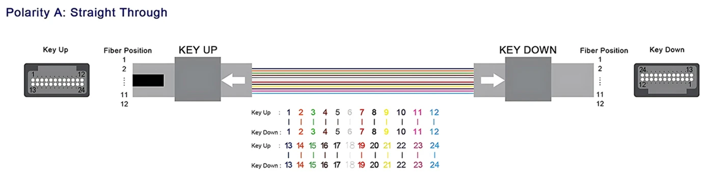 mtp cable types,cable mpo-mtp,mtp fiber meaning,mtp fiber cables,mtp fiber optics,mtp cable meaning,mtp patch cable,mtp to lc breakout cable,mtp fiber