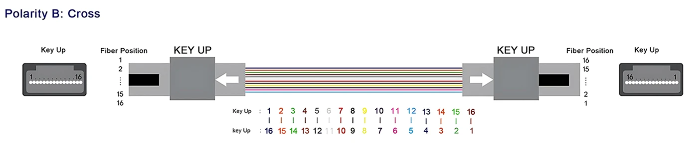 mpo jumpers,mpo jumper,mpo fiber jumper,mpo 12 patch cord,mpo cable,mpo fiber patch cords,mpo patch cable one piece,mpo patch cablevision