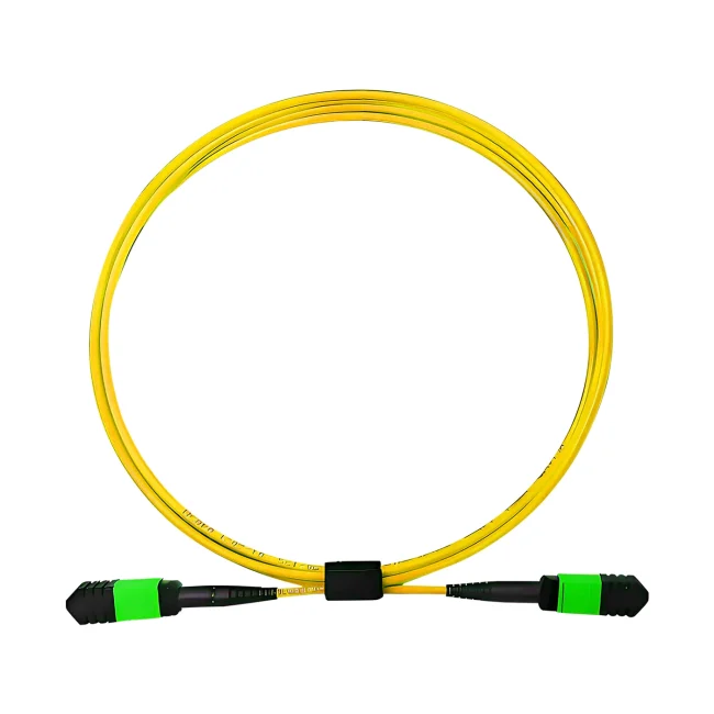 MTP Patch Cable,single mode fiber(G657A1),Type C,MTP-24 Cable APC (Male) to MTP-24 Cable APC (Male),OFNP-Plenum,1m (3.28ft)~100m (328.08ft)