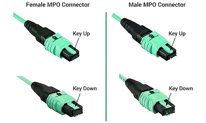 raf mtp patches,laser cut mtp patches,mtp mpo patch cord,mtp,patch cable 1 metercustom mtp patches,mtp blanking patches,mtp fiber patch panel
