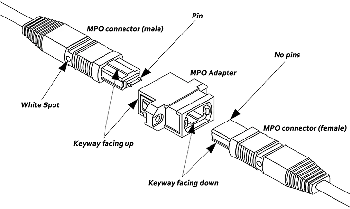 mpo jumpers,mpo jumper,mpo fiber jumper,mpo 12 patch cord,mpo cable,mpo fiber patch cords,mpo patch cable one piece,mpo patch cablevision