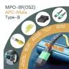 mpo os2,mpo lc os2,os2 mpo 12,os2 mpo cable,os2 mpo cassette,mpo 4lc os2 8f b3 wr,os2 mpo 12 apc fiber patch cable mpo fiber patch cable,mpo 12 patch cable,mpo patch cable,mpo to lc patch cable,mpo patch cord,ethernet mpo patch cable,mpo jumper cable,mpo+ mpo jumpers,mpo jumper,mpo fiber jumper,mpo 12 patch cord,mpo cable,mpo fiber patch cords,mpo patch cable one piece,mpo patch cablevision mpo patches,mpo patch cable one,mpo patch cable tv,mpo patch cord om3,multimode fiber patch cable,fiber optic mpo patch panels,mpo cable types mpo fiber patch cord,mpo patch cable news,mpo patch cord full form,mpo fiber patch panel,mpo lc patch cord,mpo patch cord,mpo cable vs lc mpo cable meaning,mpo cable tester,mpo cable polarity,mpo cable connector,mpo cable cleaner,mpo cable type a b c,mpo cable full form,mpo cable